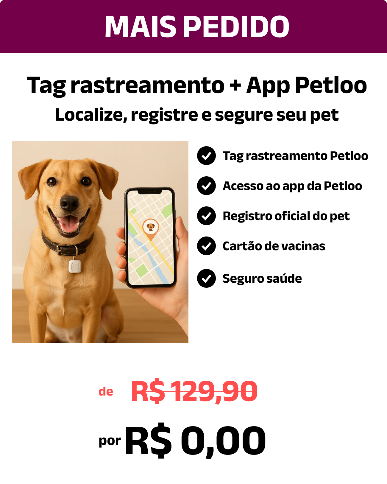 Cachorro com tag no pescoço e mão segurando celular com mapa